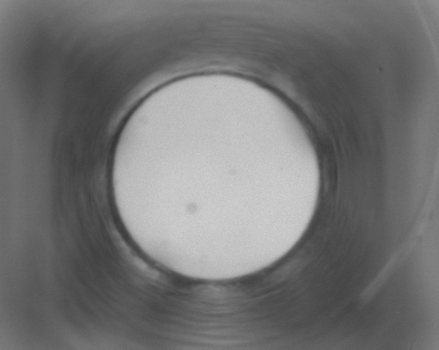 X0000081401500200702090050