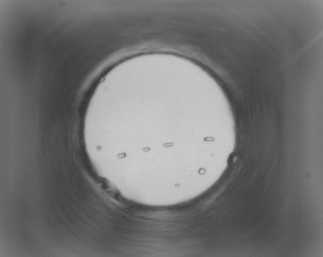 X0000081401502200702090050