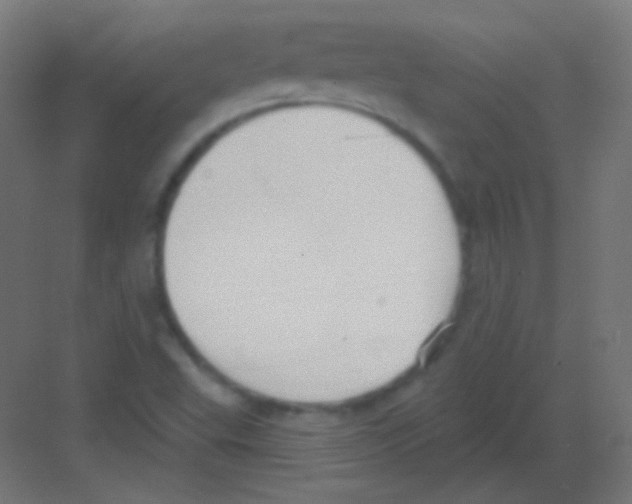 X0000081401503200702090050