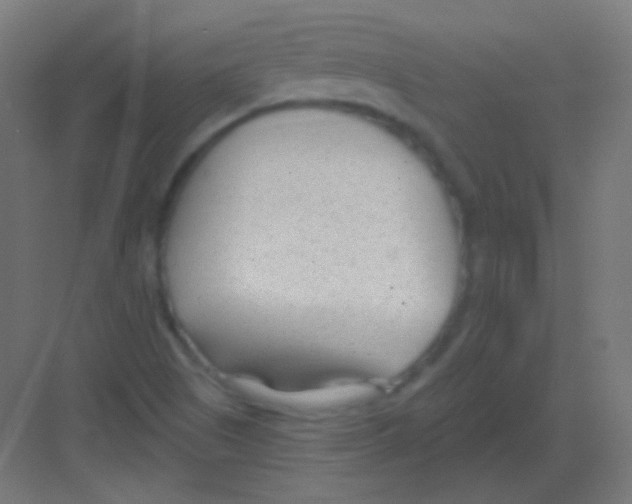 X0000081401505200702090050