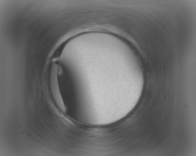 X0000081401506200702090050