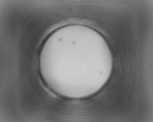 X0000081401507200702090050