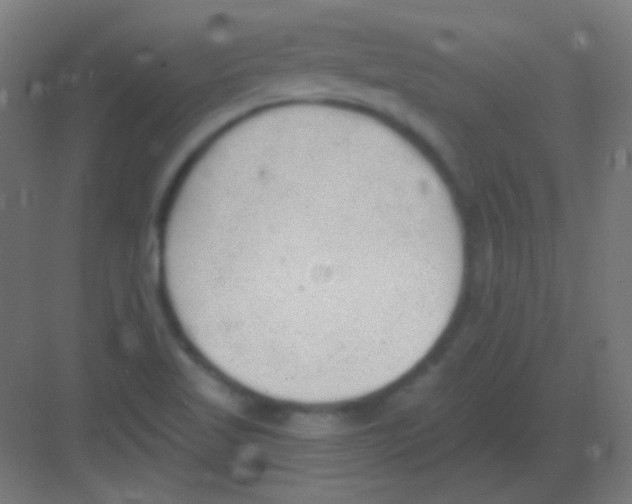 X0000081401509200702090050