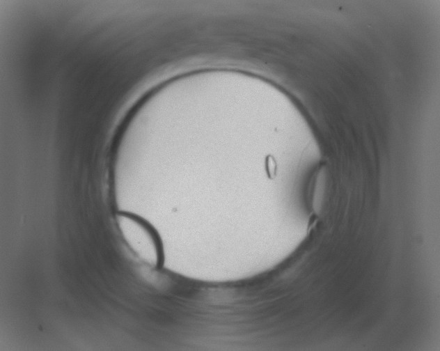 X0000081401511200702090050