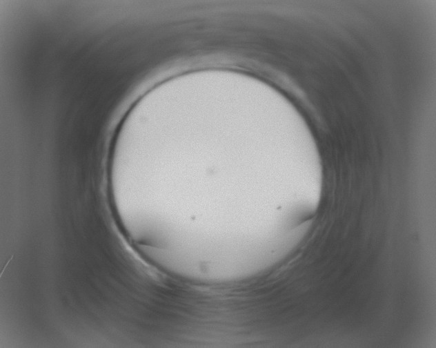 X0000081401512200702090050