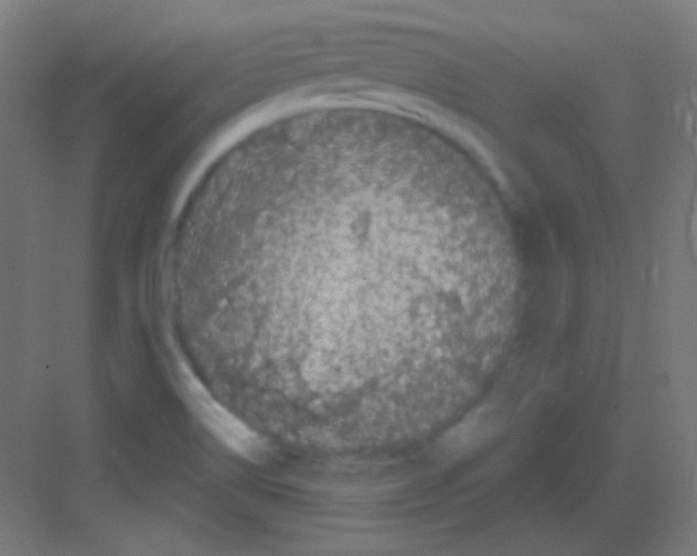 X0000081401514200702090050