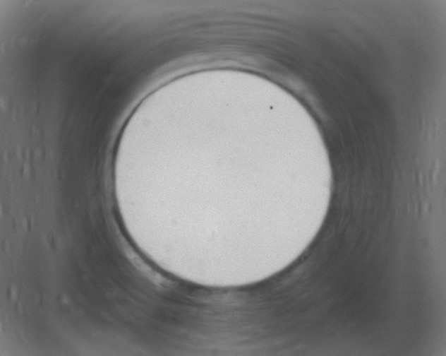 X0000081401516200702090050