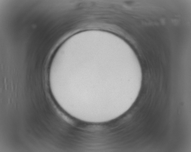 X0000081401517200702090050