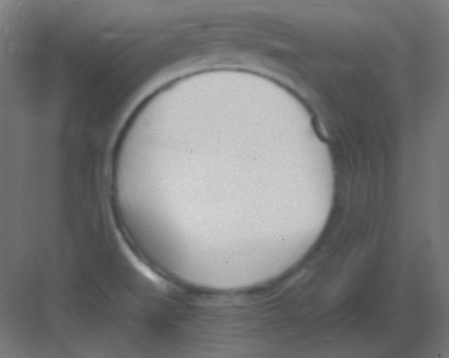 X0000081401519200702090050