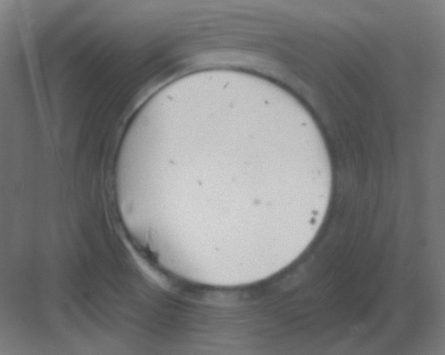 X0000081401521200702090050