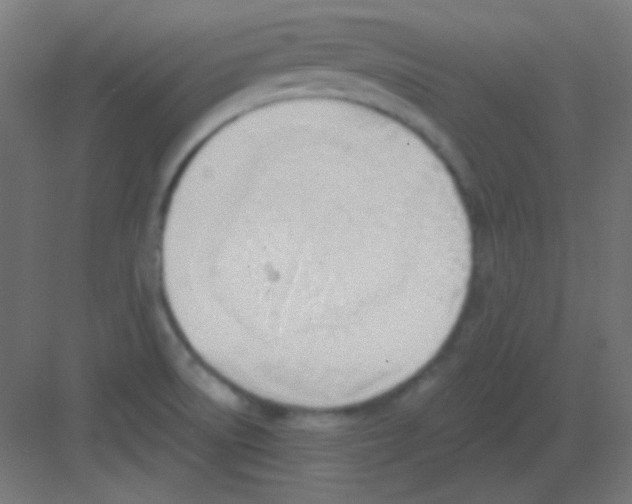 X0000081401522200702090050