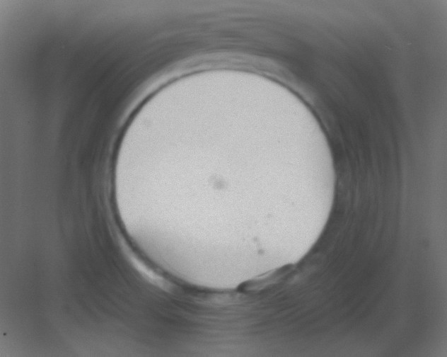 X0000081401523200702090050