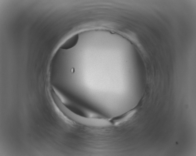 X0000081401524200702090050