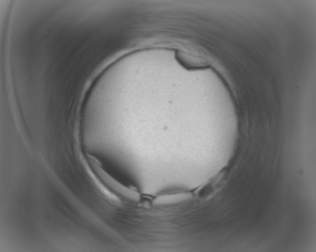 X0000081401525200702090050