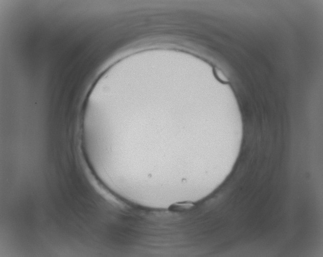 X0000081401526200702090050