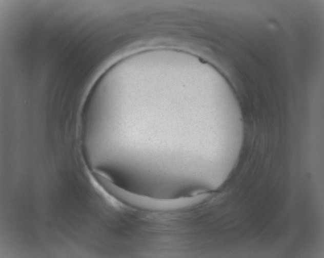 X0000081401527200702090050