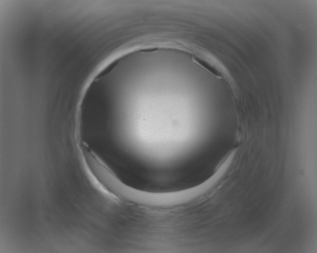 X0000081401528200702090050