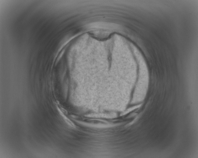 X0000081401529200702090050