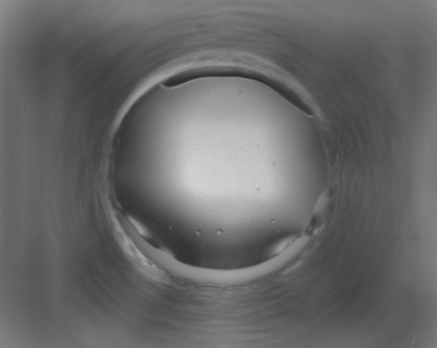 X0000081401530200702090050