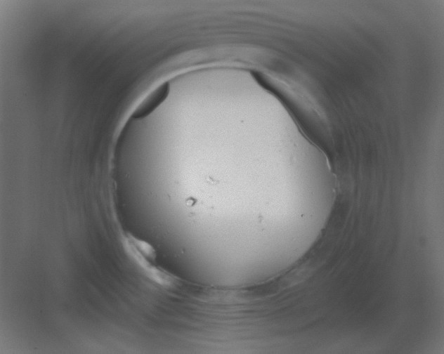 X0000081401532200702090050