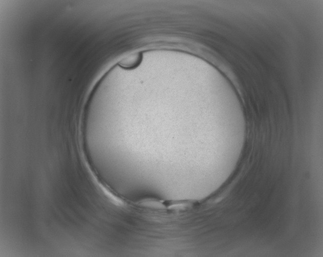 X0000081401533200702090050