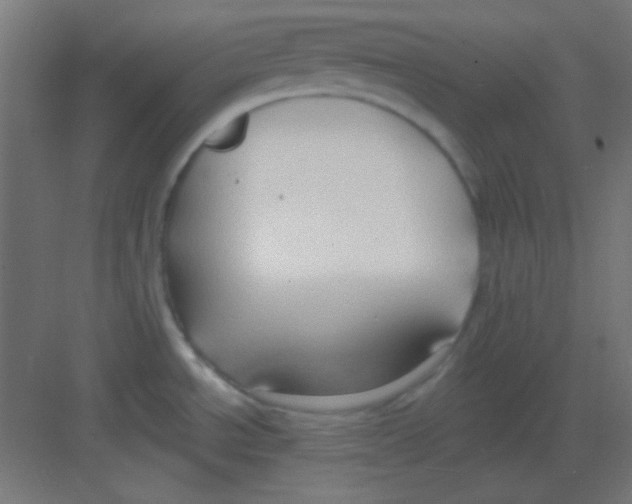 X0000081401534200702090050