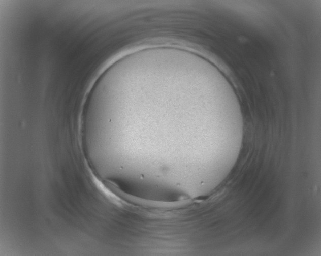 X0000081401535200702090050