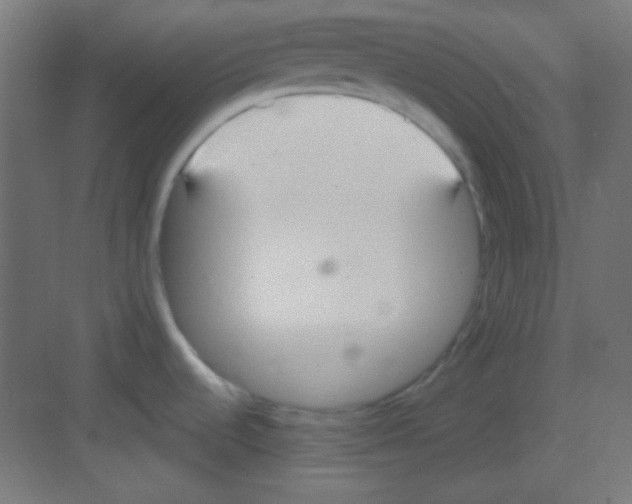 X0000081401536200702090051