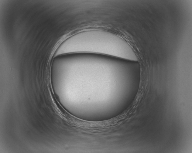 X0000081410003200701120930