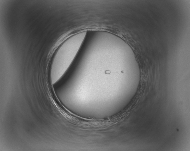 X0000081410005200701120930