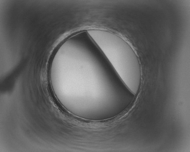X0000081410008200701120930