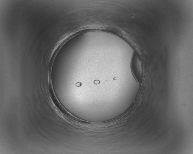 X0000081410011200701120930