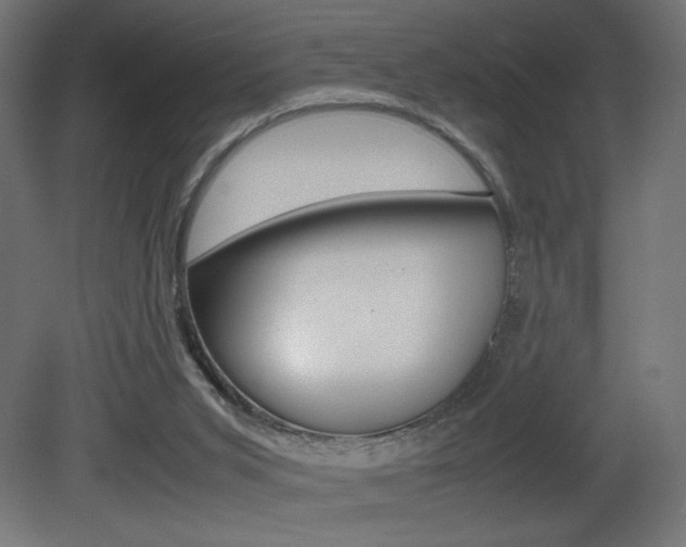 X0000081410015200701120930