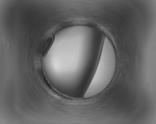 X0000081410017200701120930