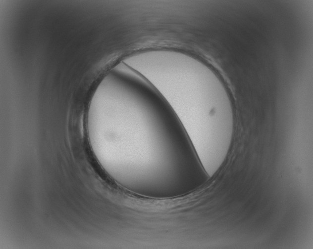 X0000081410019200701120930