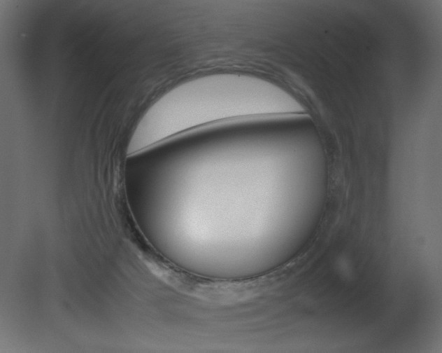 X0000081410025200701120930
