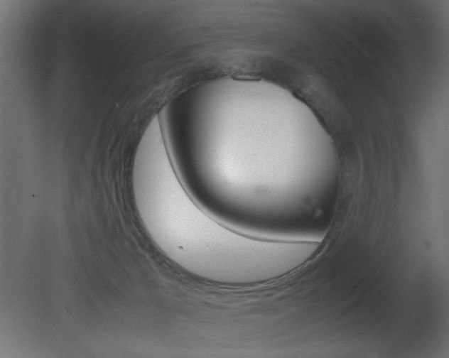 X0000081410029200701120930