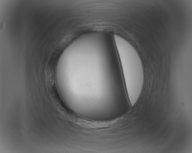 X0000081410031200701120930