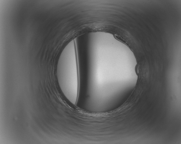 X0000081410044200701120929