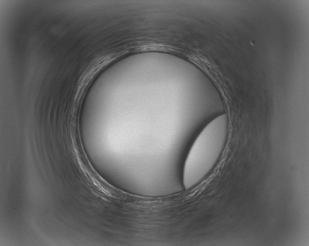 X0000081410049200701120929