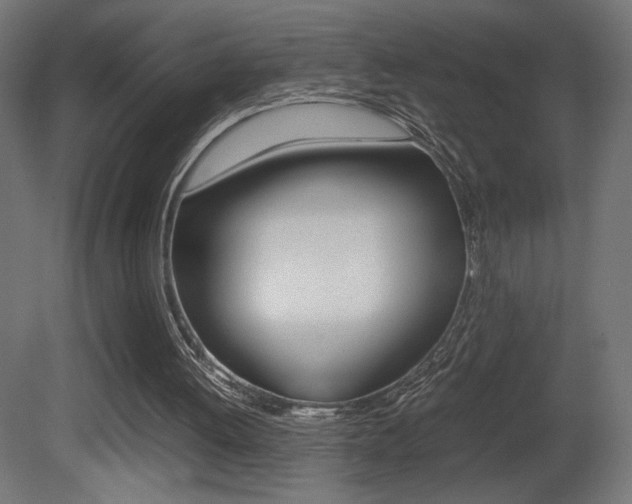 X0000081410052200701120929