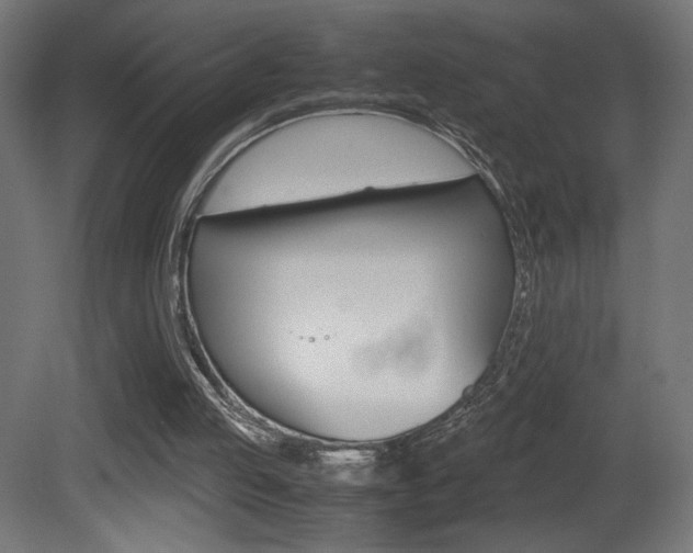 X0000081410053200701120929