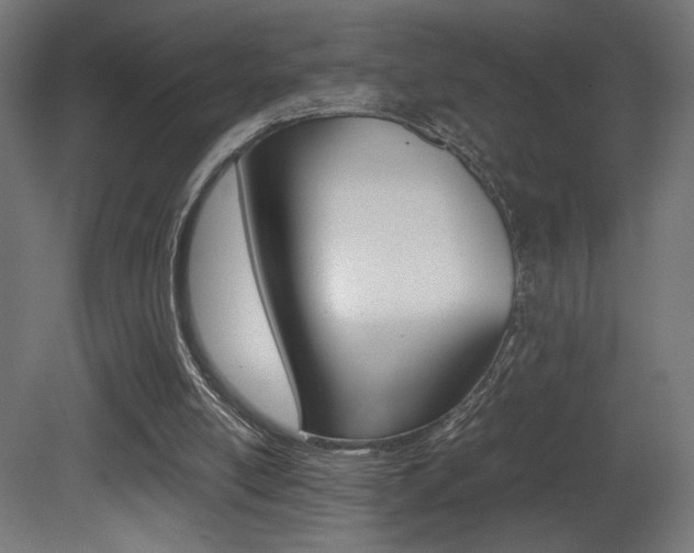 X0000081410054200701120929