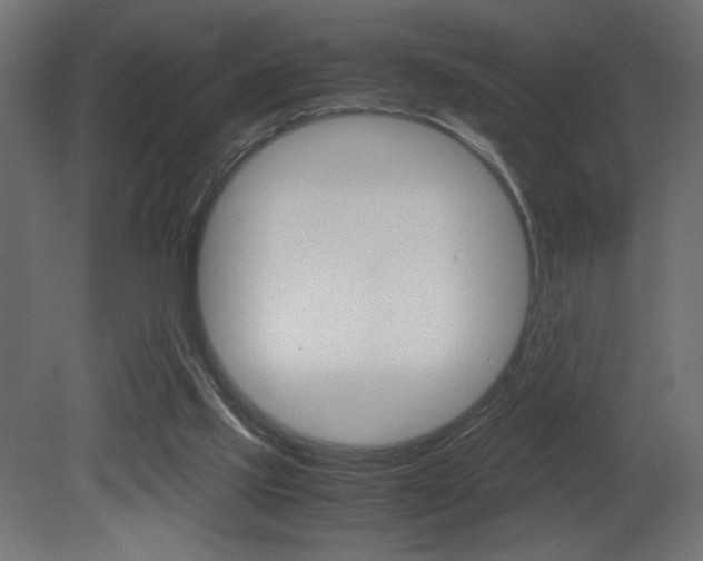 X0000081410061200701120929