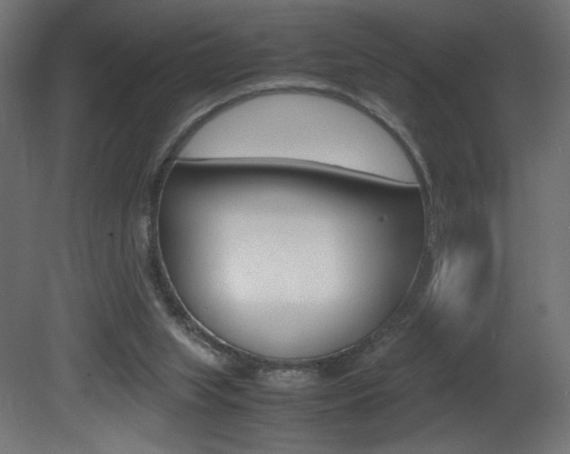 X0000081410063200701120929