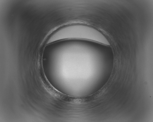 X0000081410064200701120929