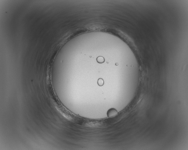 X0000081410065200701120929