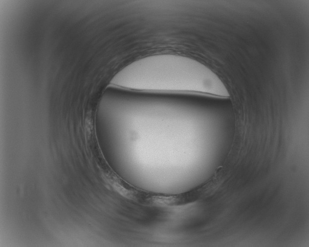 X0000081410085200701120929