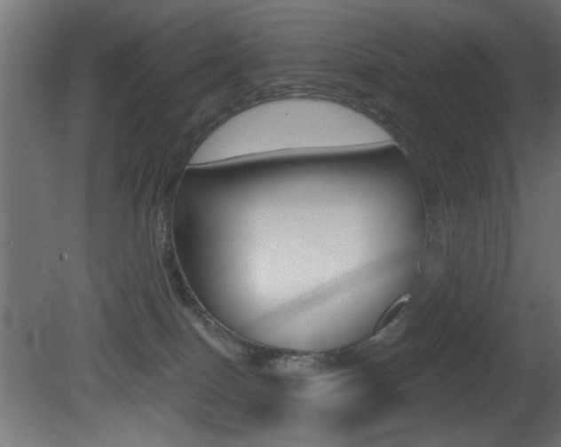X0000081410086200701120929