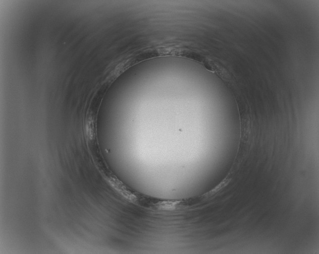 X0000081410090200701120929